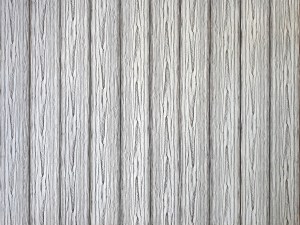 29316